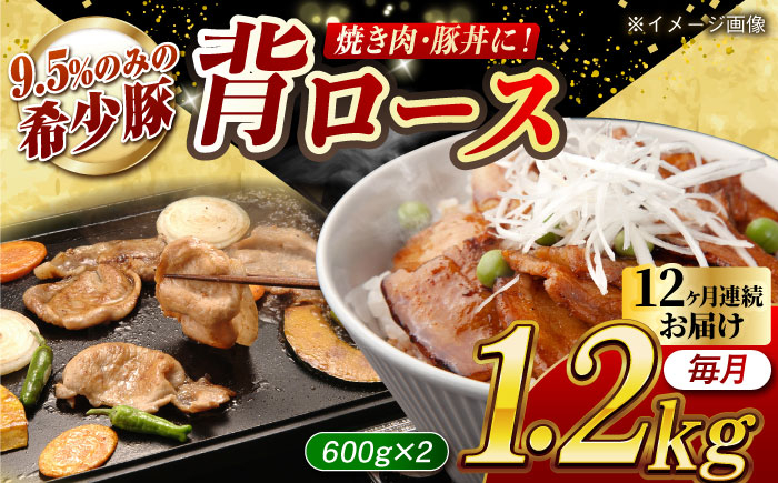 
            【月1回約1.2kg×12回定期便】大西海SPF豚 背ロース（焼肉用）計約14.4kg 長崎県/長崎県農協直販 [42ZZAA075]
          