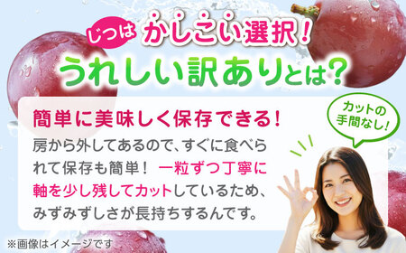 【2026年発送先行予約】訳あり クイーンニーナ ぶどう 切り落とし 約700g  【合同会社 社方園】[ZBZ039]