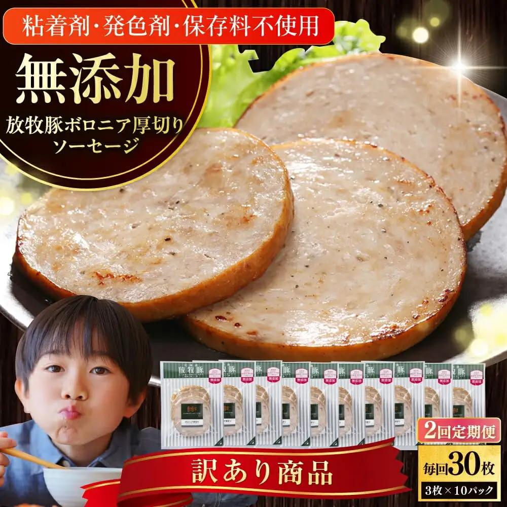 【全2回定期便】ボロニアソーセージ 3枚x10セット スライス ボロニア [AXBA078]