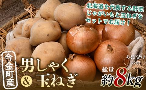 【先行予約】 2種計約8kg！今金町産男しゃく約4kg・今金町産玉ねぎ約4kg 北海道産 男爵 じゃがいも ジャガイモ ほくほく しっとり たまねぎ 玉ねぎ 野菜 常備野菜 セット 詰め合わせ F21