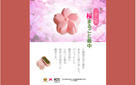桜まるごと最中 8個入り | 新潟県 五泉市 最中 もなか 和菓子
