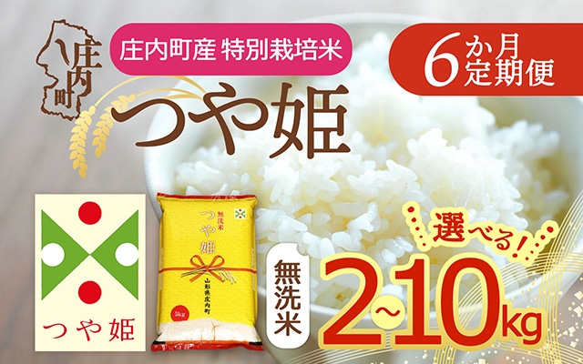 
                  【定期便】【令和7年産/8年産】つや姫 無洗米 2kg～10kg×6ヶ月 毎月お届け 特別栽培米 山形県庄内町産 庄内米 ブランド米 米 コシヒカリの原点、亀の尾発祥の地 お米の定期便 ごはん 粘り 甘み 香り 粒が大きい【毎月下旬発送】
                