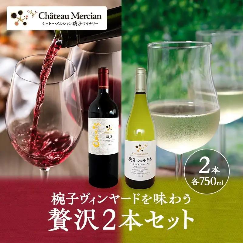 ワイン 限定 椀子ヴィンヤードを味わう贅沢 2本 セット ワイン