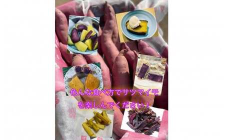 さつまいも 2種類 3kg　シルクスイート  パープルスイート ハロウィンスイート 紅あずま 紅はるか  安納芋  鳴門金時  2品種 詰め合わせ  国産 サツマイモ セット さつま芋 野菜 岩手県 