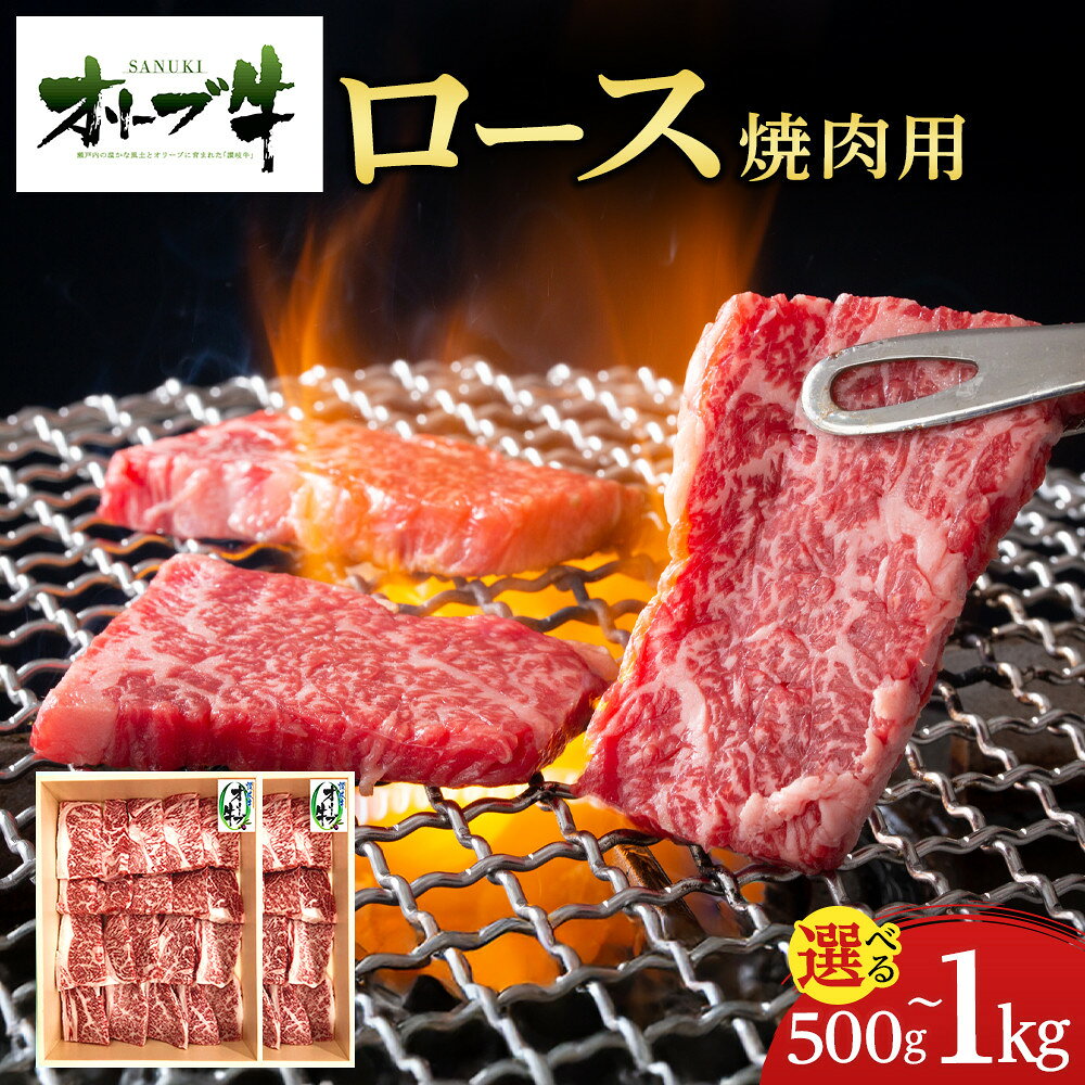 【ふるさと納税】【内容量が選べる】オリーブ牛ロース焼肉用　500g又は1000g(500g×2P) | 牛肉 オリーブ牛 ロース 焼肉用 香川県産