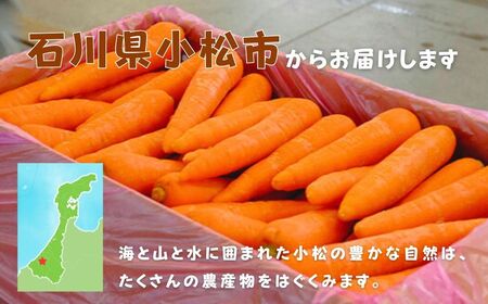 にんじん 3㎏ 人参 野菜 | 石川県 小松市 JAあぐり