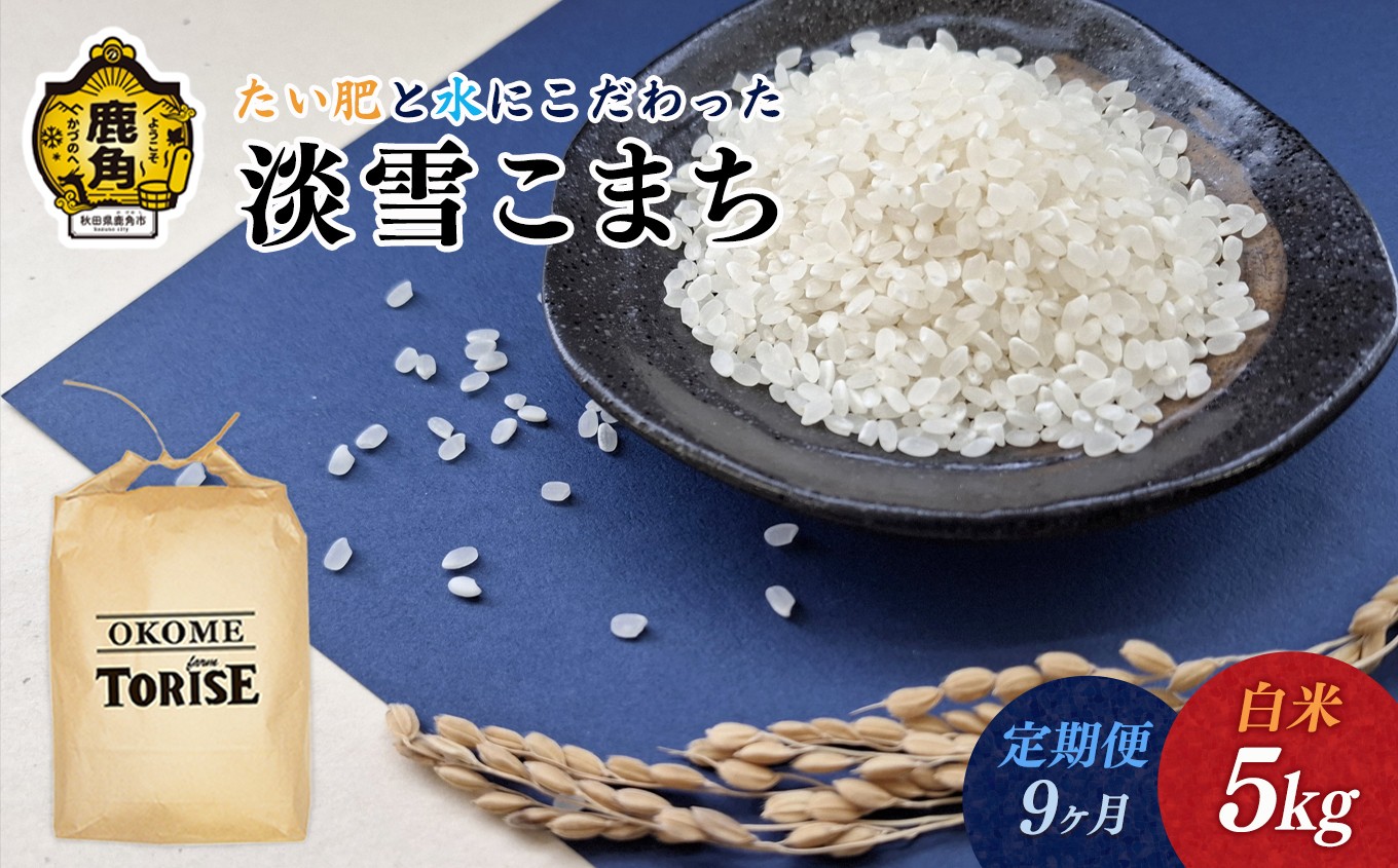 
                  《 先行予約 》 令和8年産 淡雪こまち 白米 5kg 定期便 9ヶ月 合計 45kg 【トライズ】 ●2026年11月発送開始 米 精米 白米 単一原料米 国産米 ブランド米 白米 もっちり 県産米 お米 こめ コメ 秋田県 あきた 鹿角市 鹿角 送料無料 
                