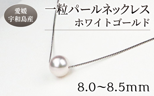 ＼10営業日以内発送／ 本真珠 パール 花珠 真珠 一粒 パールネックレス 8.0-8.5mm ホワイトゴールド 宇和海真珠 人気 アクセサリー ジュエリー アコヤ真珠 akoya ファッション フォーマル 結婚式 卒業式 入学式 誕生日 お祝い ギフト 贈り物 特産品 国産 愛媛 宇和島 A185-102003