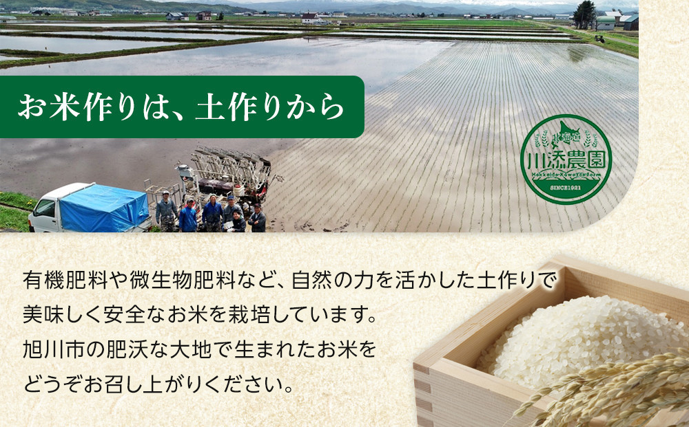 【定期便】令和7年産　ななつぼし 無洗米 真空パック 5kg×1袋　6ヶ月隔月発送【 特A 白米 精米 ご飯 ごはん 米 5kg お米 ななつぼし  旭川市ふるさと納税 北海道ふるさと納税 旭川市 北