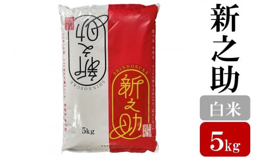 令和7年産米【五ツ星お米マイスター厳選】新之助 白米 5kg[Y0564]