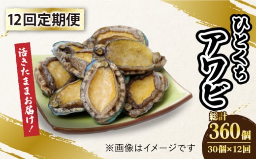 【全12回定期便】【活きたままお届け！】 上五島産 養殖 ひとくち アワビ 活 厳選 30個【豊建設株式会社】 [RAE011]
