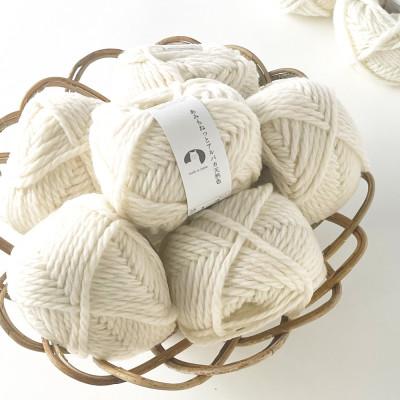 ふるさと納税 江南市 あみもねっと アルパカ天然色 1番色 10玉セット