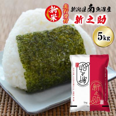 ふるさと納税 南魚沼市 【先行受付】南魚沼産新之助 精米 5kg[2026年11月上旬発送開始予定]