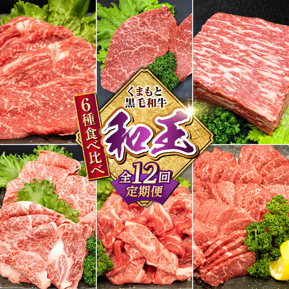 【ふるさと納税】【全12回定期便】 熊本県産 A5等級 黒毛和牛 和王 食べ比べ 牛肉 和牛 国産【帝神志方ミート 株式会社】[AYCH058] 牛 肉 モモ もも 赤身 ブロック スライス ステーキ ローストビーフ A5 熊本 九州 定期便