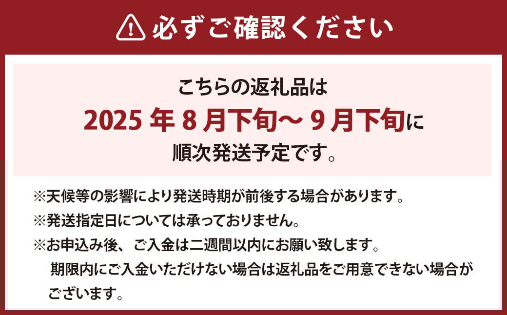 《種なし》 岡山県産 クイーンニーナ 手軽なカップタイプ 約300g × 2カップ 計600g