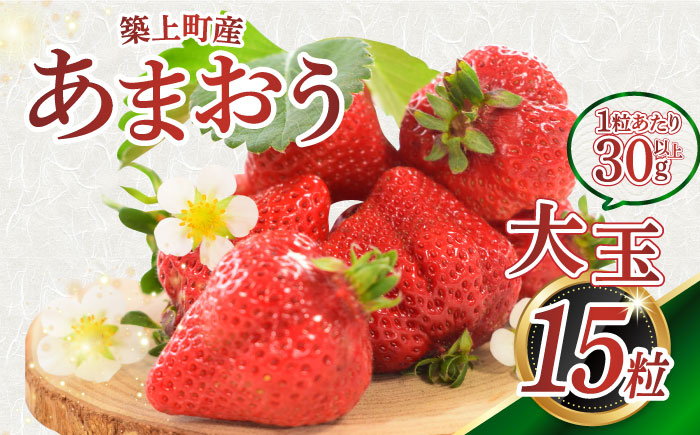 【1月中旬以降順次発送】築上町産 あまおう  1箱 15粒《築上町》【エースいちご株式会社】 大粒 あまおう 苺 いちご ギフト 贈答[ABAG004]
