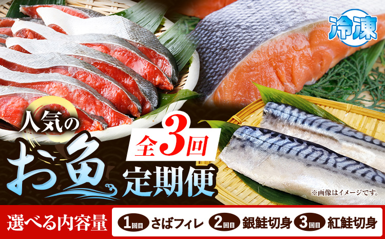 【定期便 全3回】サバフィレ 銀鮭切身 紅鮭切身 選べる 内容量 株式会社魚鶴商店《お申し込み月の翌月より出荷開始》 和歌山県 日高町 鮭 さけ 紅さけ 切り身 さば 塩さば 焼き魚 焼くだけ 簡単 魚 さかな---wsh_uotteie2_24_35000_mo3num1---