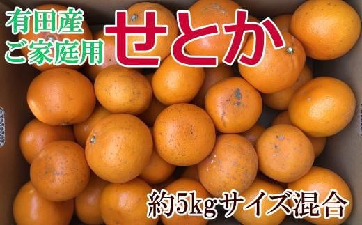 
(訳あり・ご家庭用)一度は食べていただきたい「有田産のせとか」約5kg★2025年２月中旬頃より順次発送
