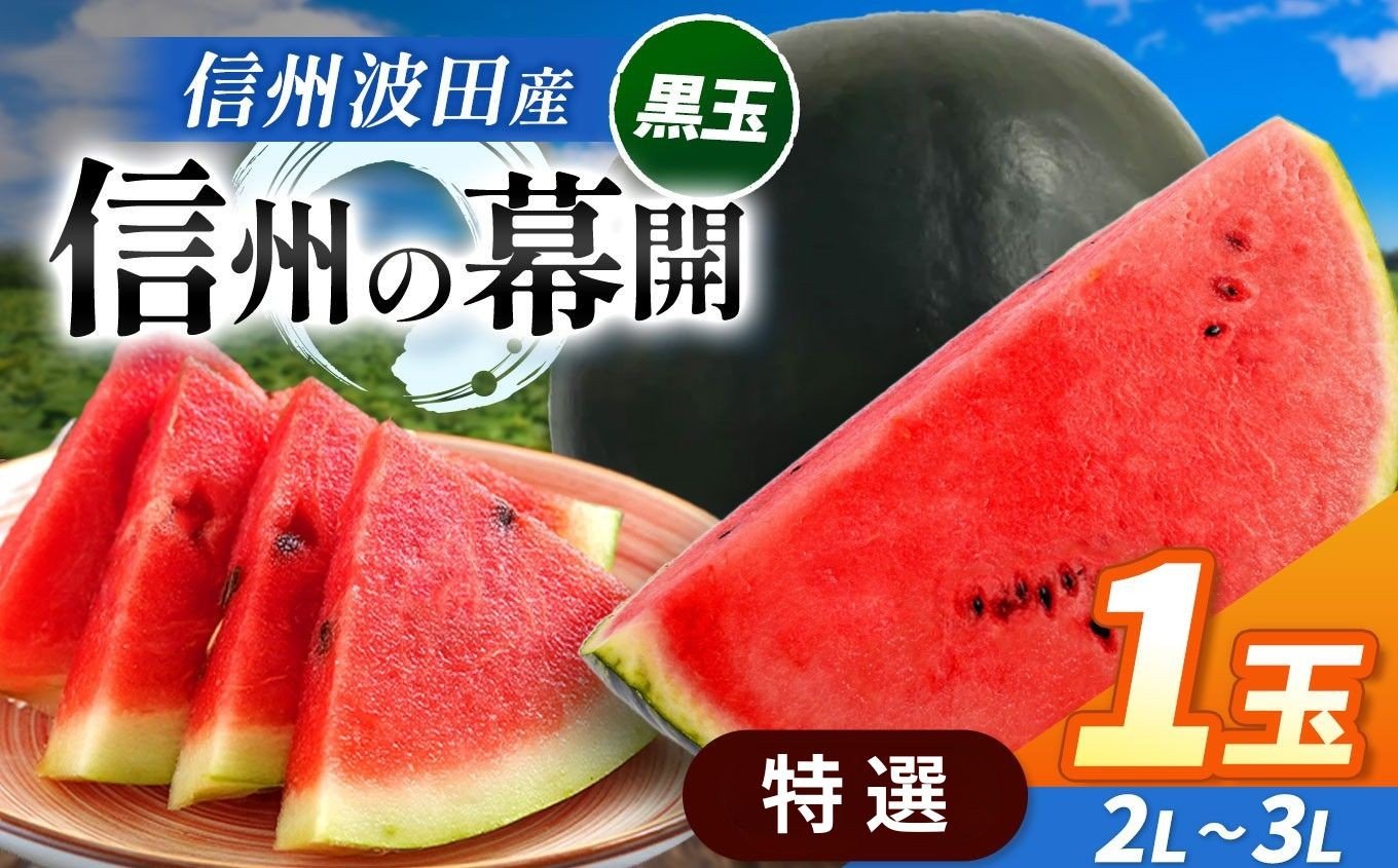 
            【先行受付：2026年7月発送】信州波田産 贈答用 黒玉スイカ ！ 信州の幕開 【特選】 2L～３Lサイズ 1玉｜ふるさと納税 長野県 信州 松本 果物 フルーツ すいか 旬のスイカ 大玉スイカ シャリ感スイカ 西瓜 贈答 季節限定 甘い くだもの ふるーつ
          