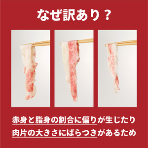 【訳あり】佐賀牛切り落とし2kg（500g×4パック）（9月配送）【B184-09】