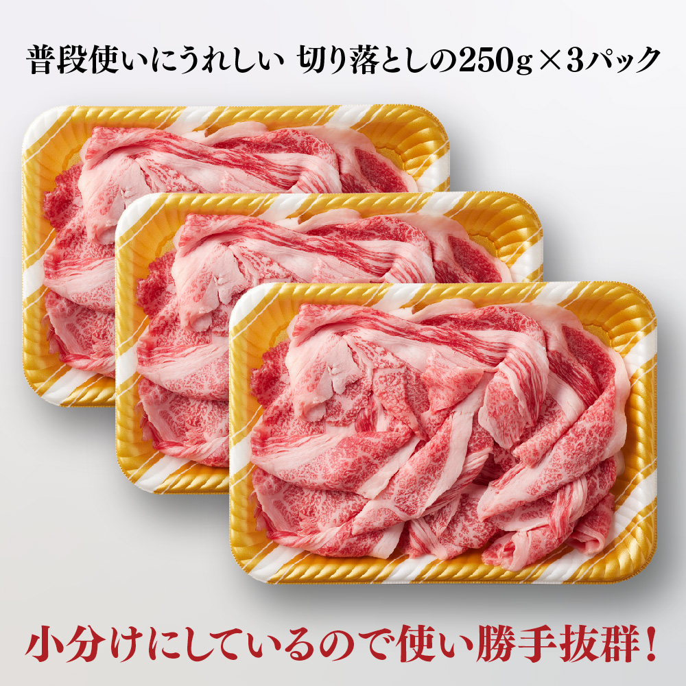 艶さし!【A4～A5】佐賀牛大判霜降り贅沢切り落とし 750g(250g×3P)【佐賀牛 切り落とし 霜降り 肩ロース 大判 一枚肉 薄切り 250g 小分け】(H112341)