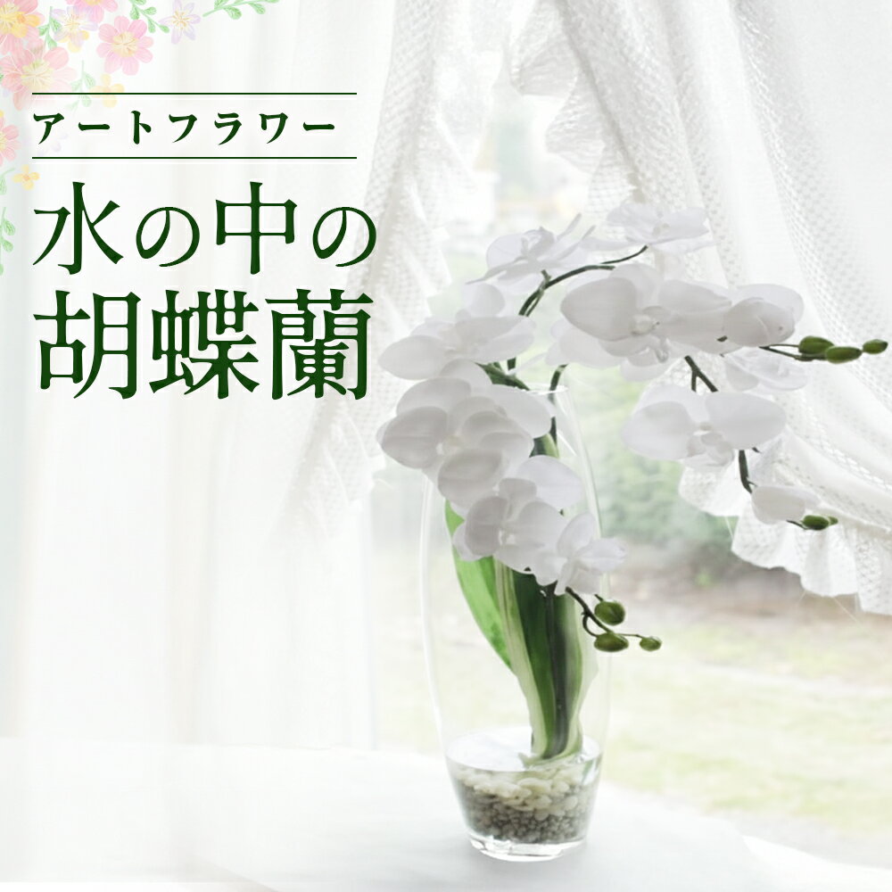 【ふるさと納税】空気をきれいにする 水の中の胡蝶蘭 アートフラワー 消臭 除菌 空気清浄 光触媒 健康 花 雑貨 贈り物 プレゼント インテリア 玄関 リビング 寝室 トイレ レストルーム あとりえヒロ 岩手県 北上市 N0053