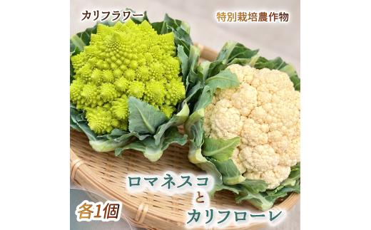 【予約受付】 27年度 カリフラワー ロマネスコ と カリフローレ 特別栽培 産地直送 農家直送 美味しい かりふらわー 旬 富士山 湧水 で つくる 野菜 お野菜 やさい 新鮮 静岡県 沼津市 やまひろ農園