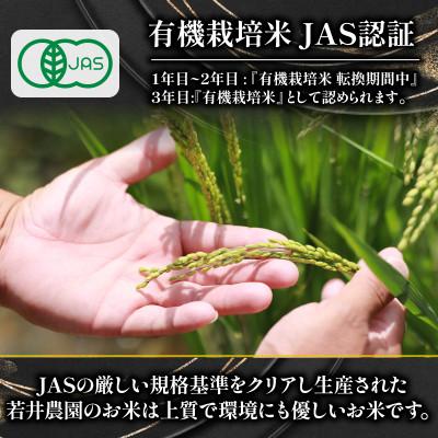 ふるさと納税 竜王町 令和7年産 有機JAS認証米 にこまる 2kg WN079 |  | 01