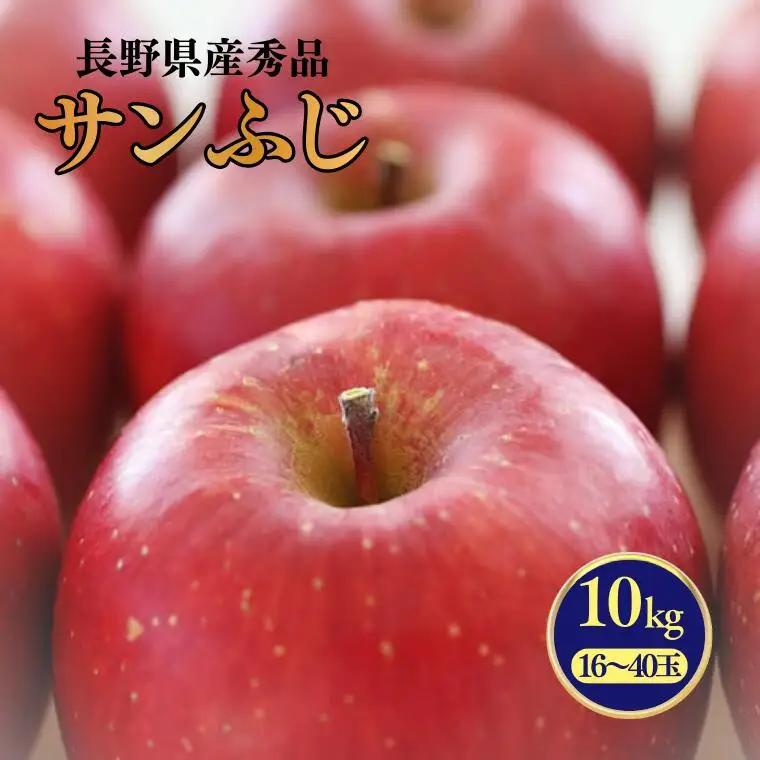 MS16 りんご サンふじ（長野県産秀品） 約10kg / 2026年11月下旬～12月中旬頃 配送予定 // 長野県 南信州 さんふじ サンフジ ふじりんご リンゴ 林檎 贈答 ふじ