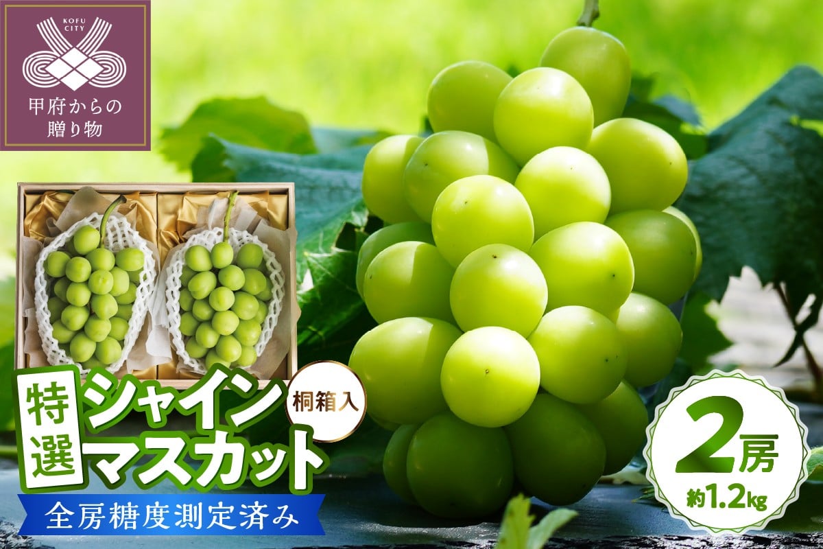 
〈2025年度配送分〉【桐箱入り】特選 シャインマスカット 2房(約1.2kg) シャインマスカット 先行予約 2025年 山梨県 ブドウ 種なし リピーター多数 数量限定 草生栽培 2房 約1.1kg 桐箱入 糖度測定 2025年8月上旬より順次配送予定
