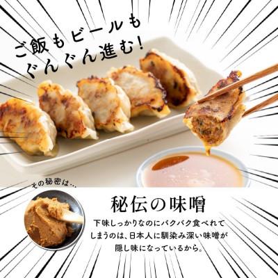 ふるさと納税 静岡市 肉汁餃子(30個入×2袋) |  | 02