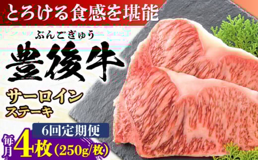 【全6回定期便】おおいた豊後牛 サーロインステーキ 1kg (250g×4枚) 日田市 / 株式会社MEAT PLUS　肉 牛肉 和牛 [AREI060]