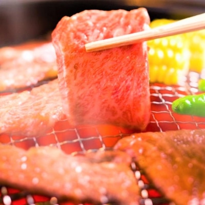 【A4～A5】博多和牛焼肉用　500g(筑後市)【配送不可地域：離島】