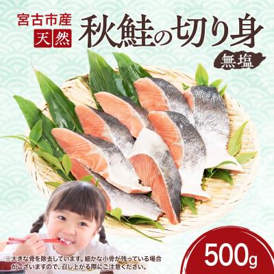ふるさと納税 宮古市 国産 天然 秋鮭 切り身 三陸の恵み 冷凍 500g 岩手県宮古市