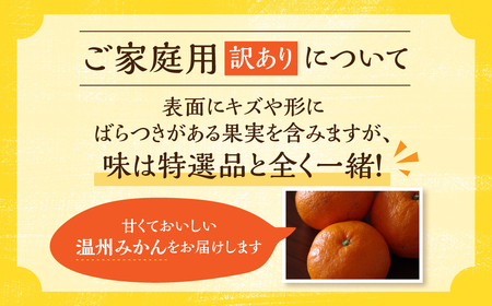  温州みかん 10 kg 訳あり 八木みかん園 農家直送
