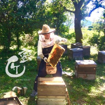 ふるさと納税 松阪市 国産そば蜜 1000g(エコパック)と蜜キレボトルセット　 |  | 02