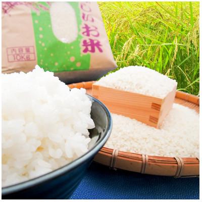 ふるさと納税 潮来市 潮来市産　令和7年産特別栽培米コシヒカリ精米5kg