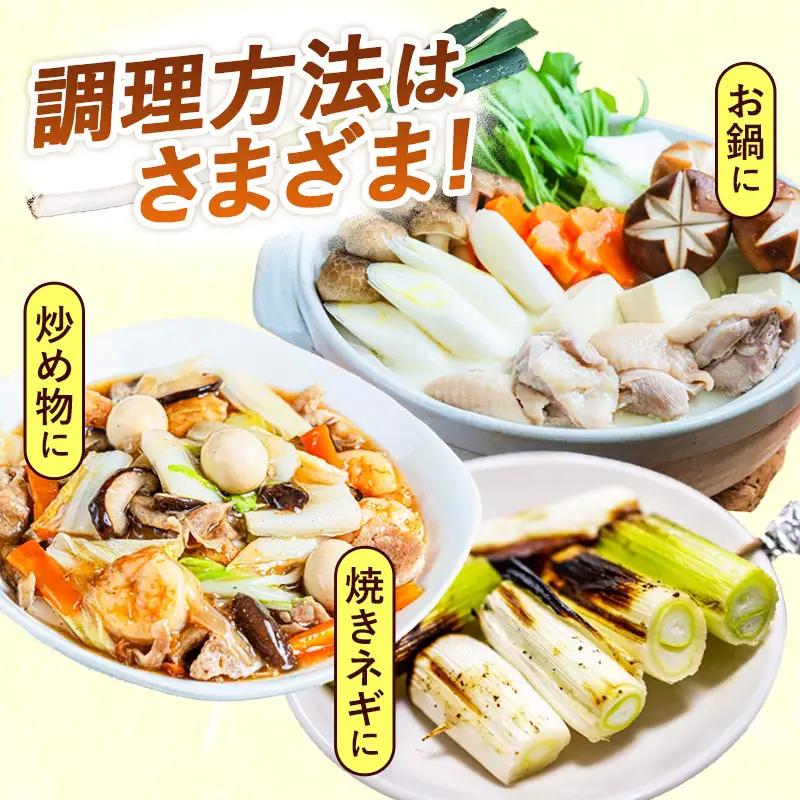 五霞町産 長ねぎ 2kg前後 ／ ご家庭用 キズ有り 曲がりあり サイズ ばらつき有 ネギ ねぎ 長ネギ 長葱 産地直送 茨城県 五霞町