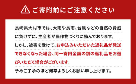 【2024年6月下旬～順次発送】 大村マンゴー 約800g (2L×2個) / 大村市 / 県央リサイクル開発[ACBC001] アップルマンゴー まんごー 南国フルーツ アップルマンゴー まんごー 