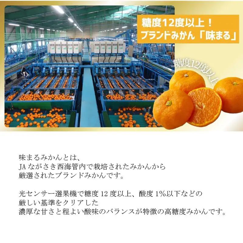 【 早期受付 】西海みかん 味まる 3kg 糖度12度以上 ブランドみかん 佐世保 【 12月発送 】