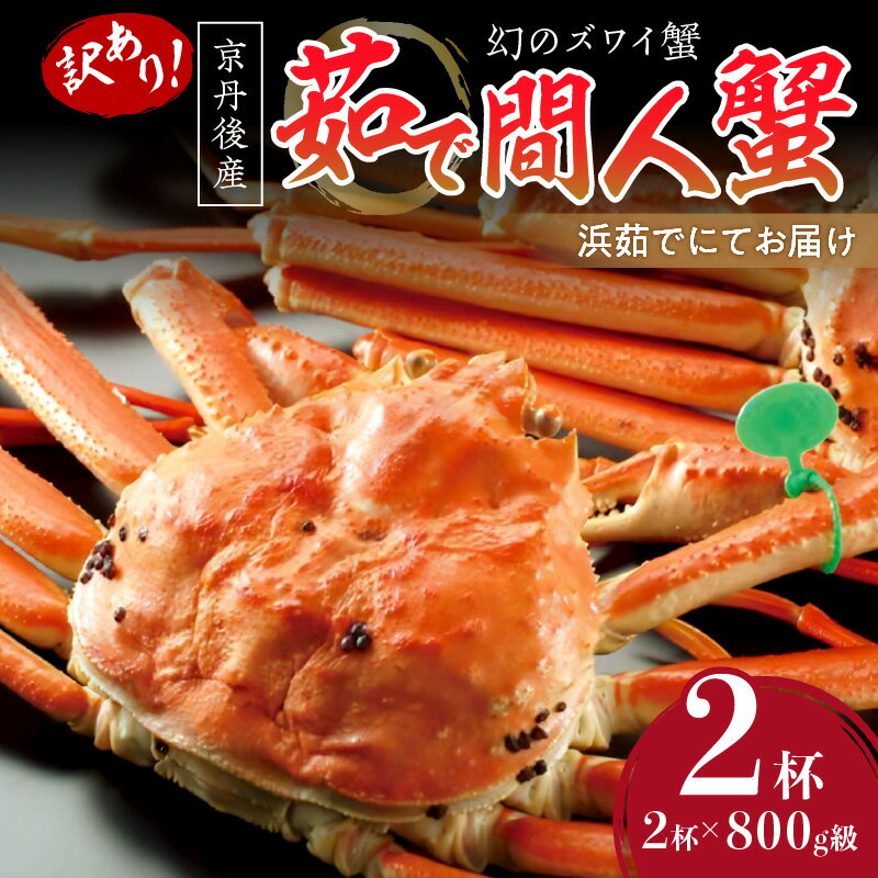 【ふるさと納税】【訳あり！！幻のズワイ蟹】京丹後産 茹で間人蟹 鮮度抜群、浜茹でにてお届け！！ 800g級（足1本落ち）×2杯 国産 海産物 甲殻類 かに ずわいがに 間人蟹 茹で ボイル ふるさと納税 海鮮 ふるさと納税 訳あり 間人がに たいざがに 京都 丹後 海祥 送料無料