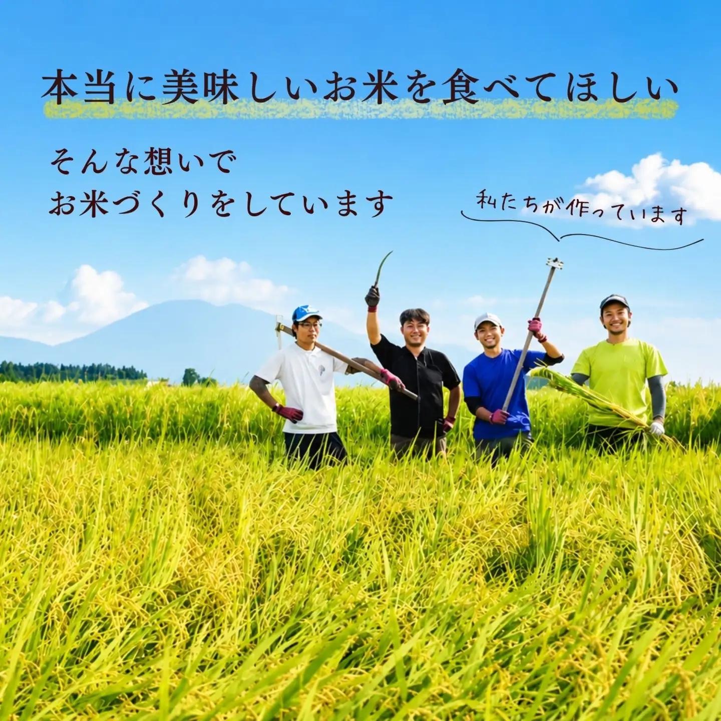 《2026年12月開始》【定期便5㎏×3回】にじのきらめき 豊米