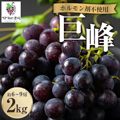 【ふるさと納税】福岡県産　巨峰　2kg(野口農場)【配送不可地域：離島】【1526875】