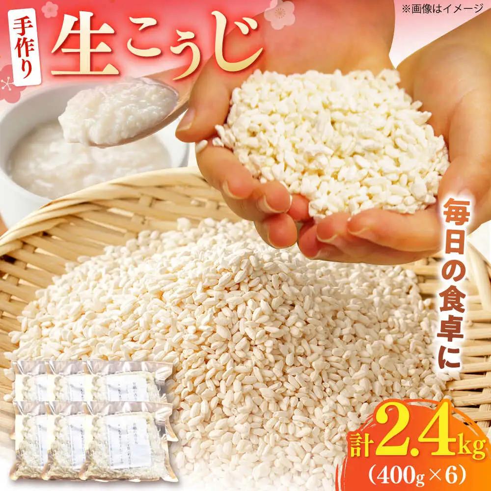 【明治42年創業】生こうじ400g×6個 [BGAU002] 生麹 生こうじ 生麹