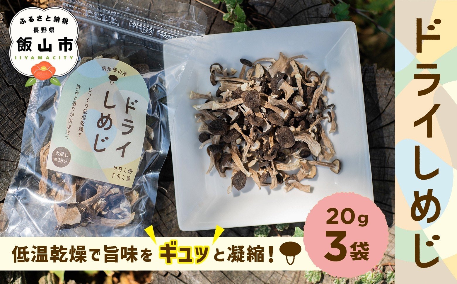 
                  手軽に美味しく！  ＼ ドライぶなしめじ ／ 20g　3袋 （Bz-002）｜長野県 飯山市 信州産 きのこ キノコ 無添加 時短 保存食 ダイエット だし 出汁 国産 乾燥 
                