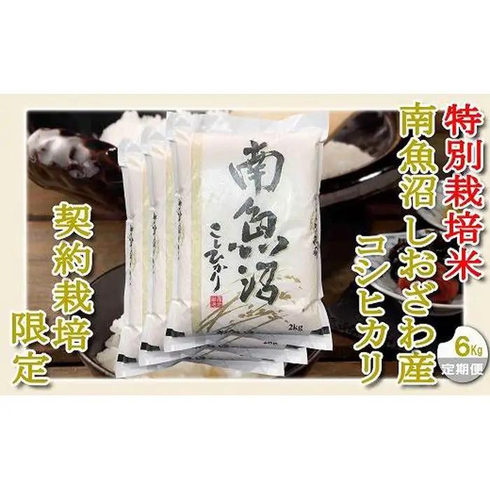 【令和7年産】【定期配送６Kg×９ヶ月】特別栽培 生産者限定  南魚沼しおざわ産コシヒカリ【定期便 銘柄米 ブランド米 精米 こしひかり コシヒカリ 魚沼産 新潟米 産地直送 お米 米 こめ コメ ご飯 御飯 ごはん】