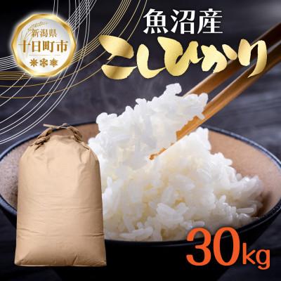 ふるさと納税 十日町市 【令和7年産 新米予約】魚沼産 コシヒカリ 30kg 精米 新潟県 十日町市 仁田地区限定
