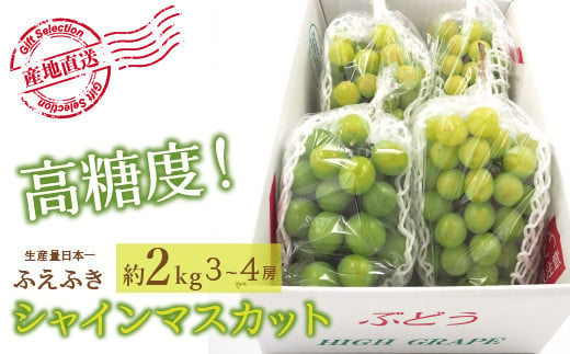 
            ＜25年発送先行予約＞厳選！山梨県笛吹市産 シャインマスカット 約2.0kg（3～4房） 156-001
          