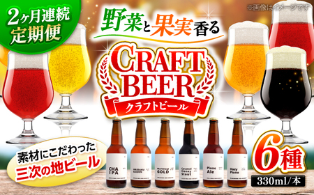 【全2回定期便】クラフトビール（地ビール）6種類[APCA003] ビール