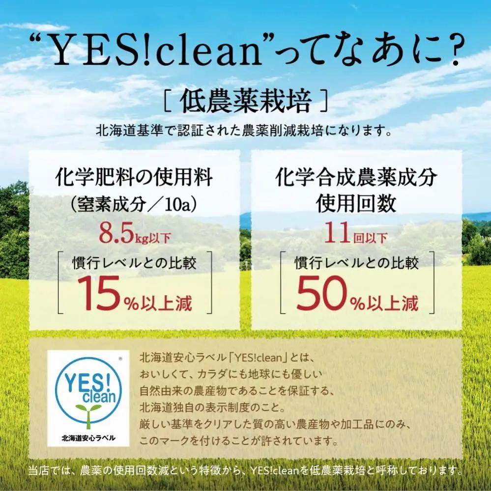 【令和7年産・無洗米・真空パック・低農薬栽培】 あさひかわ産 ななつぼし 2kg×3袋（2026年5月中旬から発送開始予定） | ななつぼし _03138